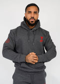 NT Line Aeternum Hoodie Grey
