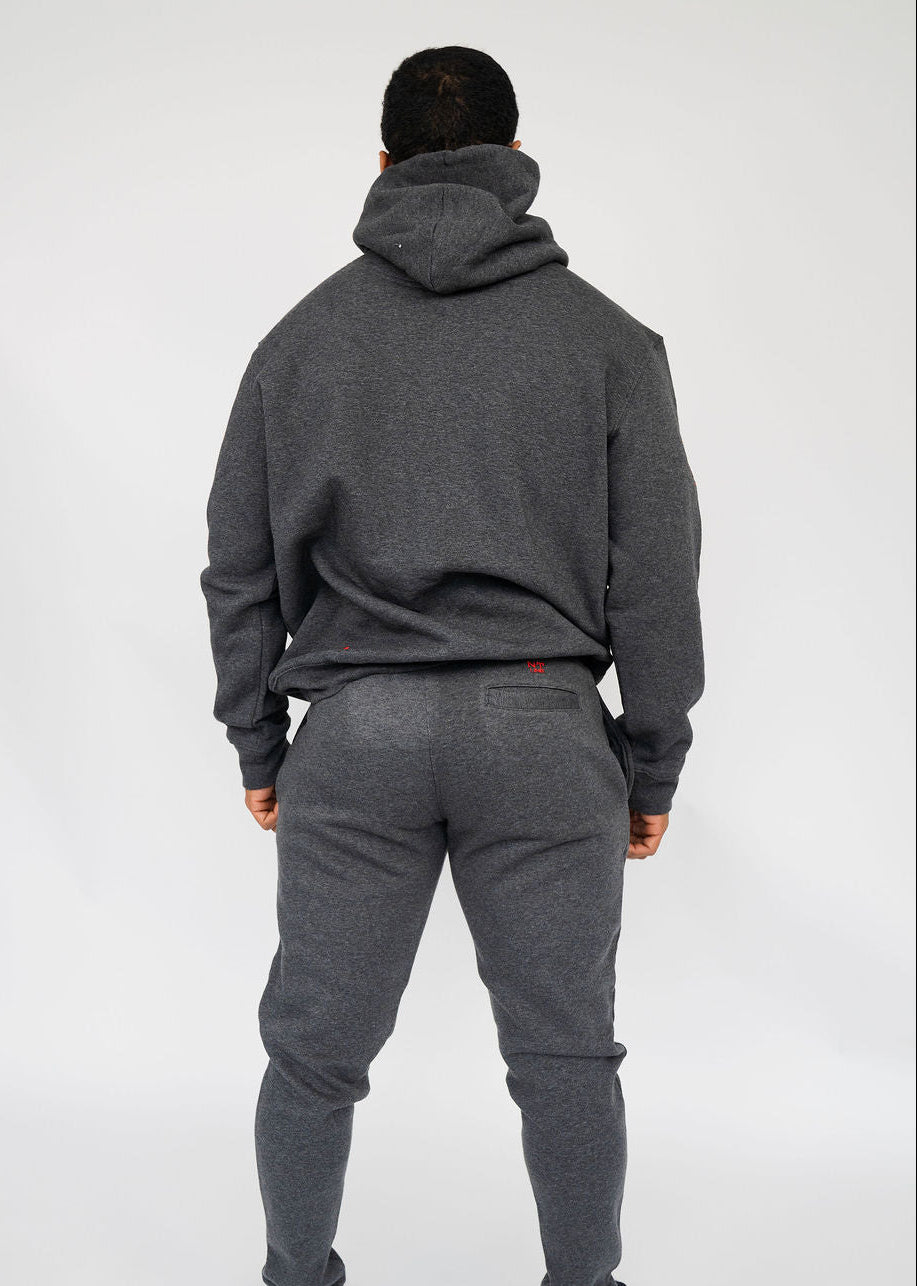 NT Line Aeternum Hoodie Grey